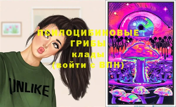 стафф Осинники