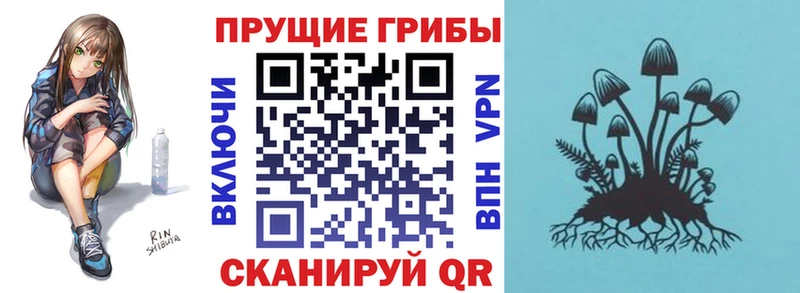 Галлюциногенные грибы Psilocybe Салехард