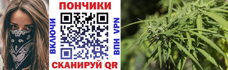 мега зеркало  как найти закладки  Салехард  Шишки марихуана AK-47 